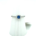 Montana Yogo Sapphire Princess Cut Square Halo Ring 14K White Gold