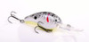 Strike King Extra Deep 5XD Crankbait, Pearl Black Chartreuse Belly