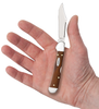 Case XX Mini Copperlock Locking Clip Blade Chestnut Smooth Bone Handle