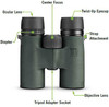 Vortex Optics Bantam HD 6.5x32 Youth Binocular W/ XR Lens Coating - Green