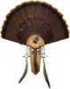 Hunters Specialties Strut Three Beard Mounting Plaque W/ Natural Oak Finish Hunters Specialties Strut Three Beard Mounting Plaque W/ Natural Oak Finish