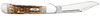 Case XX Mini CopperLock Clip Blade Amber Bone Peach Seed Jig handle - 00133