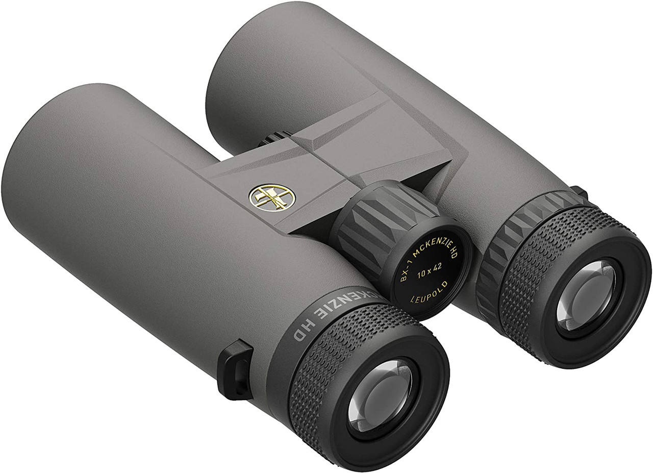 Leupold BX-1 McKenzie HD 10x42 Binoculars with Harness Shadow Gray - 181173