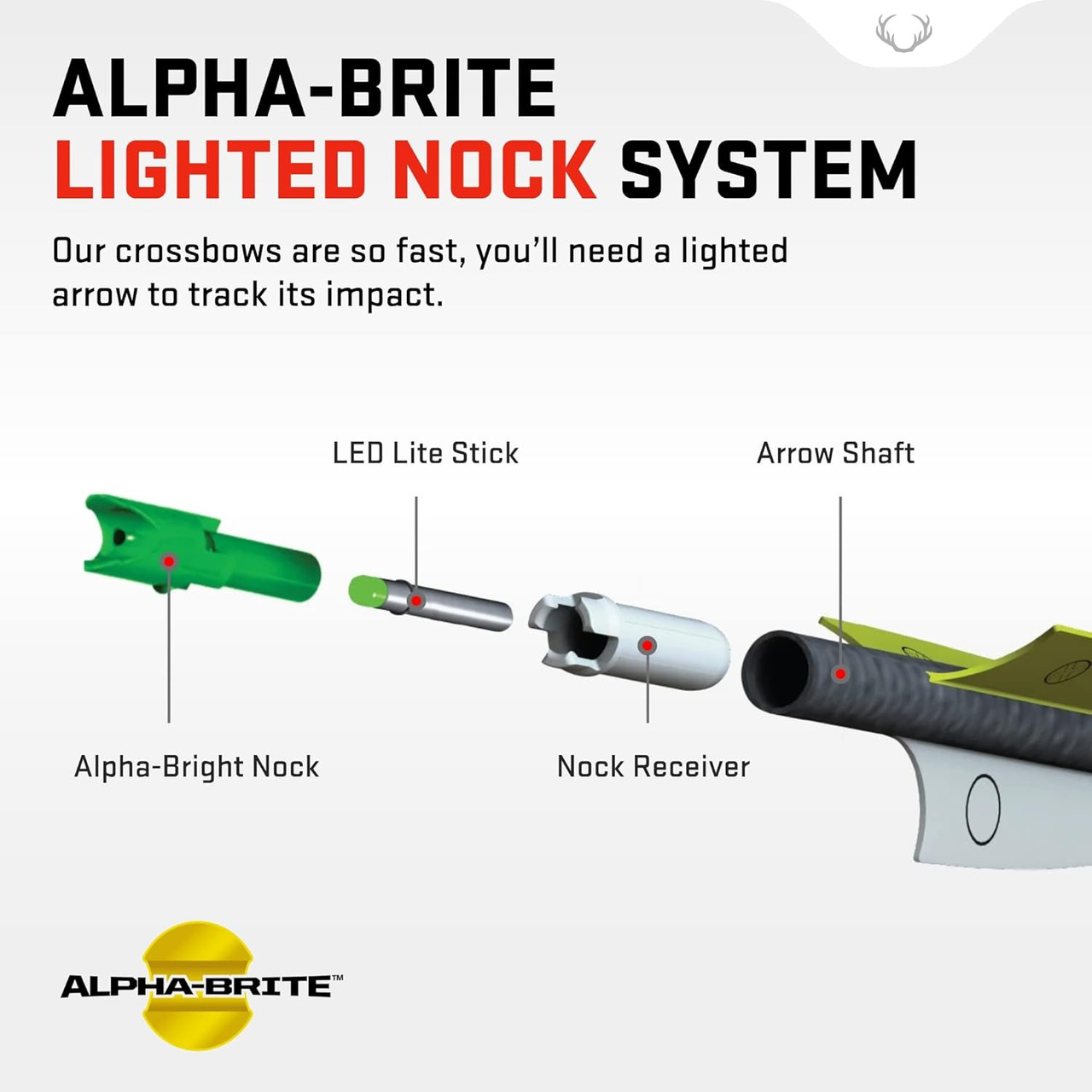 Tenpoint Alpha Brite Lighted Nock System Green .297 Diameter 3 Pack Tenpoint Alpha Brite Lighted Nock System Green .297 Diameter 3 Pack