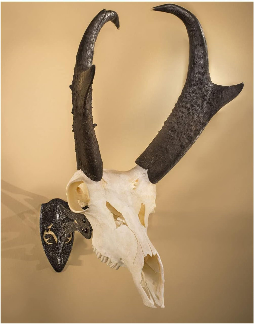 Skull Hooker Realtree Edition Little Hooker Trophy Mount Kit - Graphite Blk Skull Hooker Realtree Edition Little Hooker Trophy Mount Kit - Graphite Blk