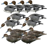 Banded GHG Pro Grade Silhouette Duck Decoys - Pintail 12Pk W/ Ground Stacks