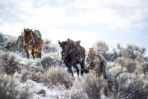 Burris Signature Zee Rings 30 MM Medium Black 420588 Weaver