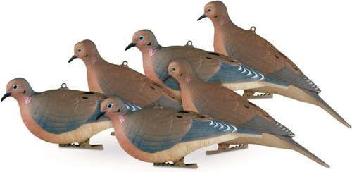 Avery Mourning Doves 6 Pack