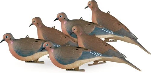 Avery Mourning Doves 6 Pack