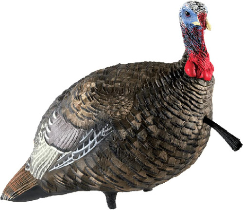 Avian-X LCD Jake Quarter Strut Collapsible Standing Turkey Decoy W/ Bag
