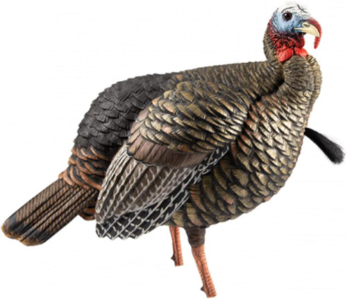 Avian-X HDR Jake Turkey Decoy Quarter-Strut Body W/ 2 Removable Heads