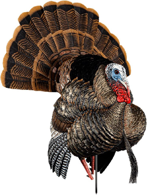 Avian-X HDR Strutter Turkey Decoy Dominant Body W/ 2 Removable Heads