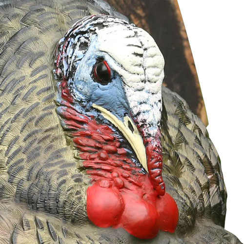 Avian X LCD Strutter Jake Turkey Standing Hunting Decoy Carry Bag USED
