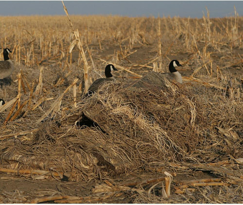 Avery Layout Blind Kit, KillerWeed All Terrain - 47303