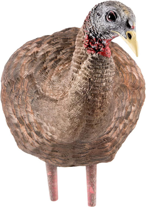 Avian X LCD Breeder Hen Turkey Standing Hunting Decoy Carry Bag/Stake USED