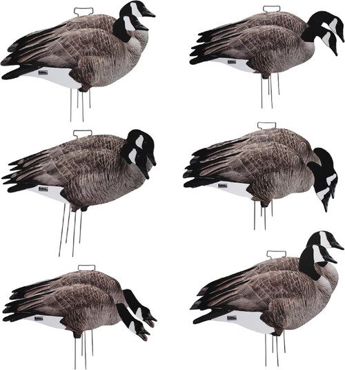 Banded GHG Pro Grade Silhouette Canada Goose Decoy 12Pk W/ Ground Stacks