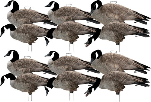 Banded GHG Pro Grade Silhouette Canada Geese Flocked Heads 12Pk W/ Stacks