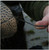Greenhead Gear Quick Fix Duck Decoy Cord 500 Ft Black 80500B