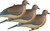 Avery Mourning Doves 6 Pack