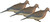 Avery Mourning Doves 6 Pack