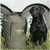 Avery DriStor Dog Food Bag-Vacationer (40lbs) - 01857