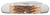 Case XX Canoe Peach Seed Clip, Pen Blade Jigged Amber Bone Handle - 00263