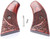 North American Arms Mini Revolver Boot Grips Magnum - Rosewood - GBG-M-ENG