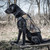 Higdon Versa Vest Adjustable Dog Vest XS-XXXL Sizes - Optifade Marsh -34128