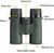 Vortex Optics Bantam HD 6.5x32 Youth Binocular W/ XR Lens Coating - Green