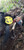 Hunters Specialties Strut Cookie Cutt'R Tracer Lid & Slate Pot Call -Yellow