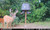 Stealth Cam Deceptor Max Cellular Trail Camera & FieldMax Lithium Battery