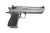 Magnum Research Desert Eagle MKXIX 50 AE DE50SRMB 6" BBL Stainless