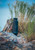 AGM TaipanV2 15-384 Thermal Imaging Monocular 20mK/12 Micron/384x288 50 Hz