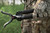 BOG Havoc Camo Tripod Lightweight Aluminum Twist-Style Lock Legs - USED