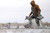 Higdon Outdoors Flats Mallard Motion Silhouette Waterfowl Decoy 12-Pack