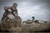 Higdon Outdoors Magnum Full-Body Mallard Duck Decoys w/ Bag  Variety 6pk