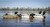 Higdon Outdoors Battleship Mallard Duck Decoys w/ Bag  Variety 6pk