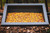 Moultrie Ranch Series Axis Trough W/ Drain Holes To Prevent Water Pooling