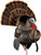 Avian-X HDR Strutter Turkey Decoy Dominant Body W/ 2 Removable Heads