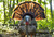 Avian-X HDR Strutter Turkey Decoy Dominant Body W/ 2 Removable Heads