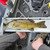 YakAttack LeaderBoard 28” Fishing Ruler Built-In ID Holder & Cull Tabs Grey