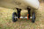 YakAttack TowNStow Bunkster Kayak Cart Easy Assembly Collapsible Dolly