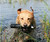 Avery ASD 3" HexaBumper Dog Retriever Dummy Floating Design Throw Rope Blk