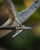 G5 T2 2-Blade Expandable Broadheads 3-Pack W/ Large 2" Cut Diameter 125gr
