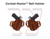 GALCO Combat Master Belt Holster for Glock 19 Gen 1-5 Right Hand Tan CM226