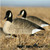 Greenhead Gear Universal Motion Stakes 12 Pack 71190