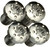 Strike Industries 1911 Torx Grip Screws Stainless Steel SI-1911TS-SS