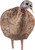 Avian X LCD Breeder Hen Turkey Standing Hunting Decoy Carry Bag/Stake USED