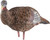Avian X LCD Breeder Hen Turkey Standing Hunting Decoy Carry Bag/Stake USED