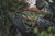 BOG Low Profile Turkey Ground Blind Chair w/ Carry Bag Mossy Oak Obsession
